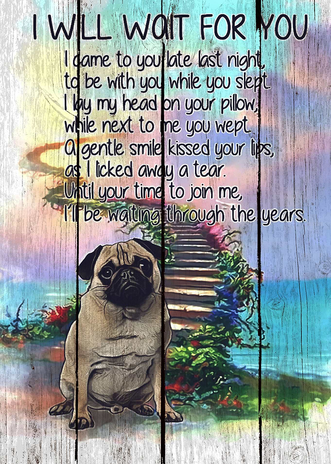 Pug Art