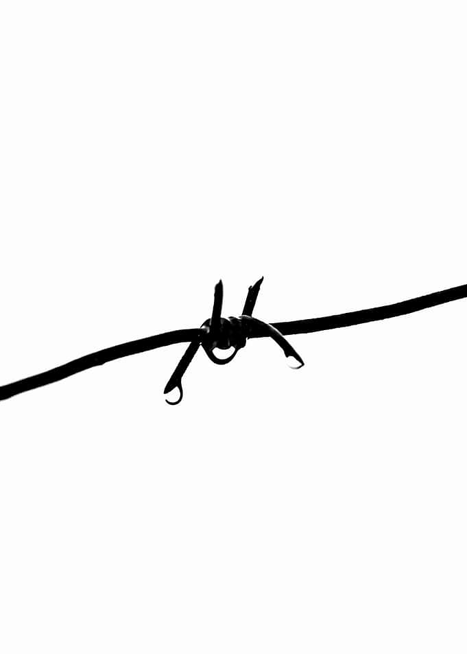 Wet Barbed Wire Vertical