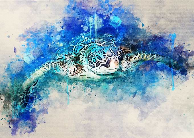watercolor turtle