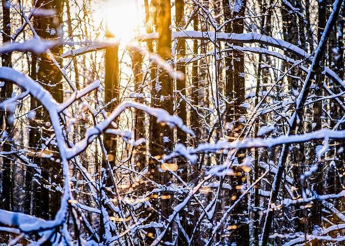 Nature And Setting Sun