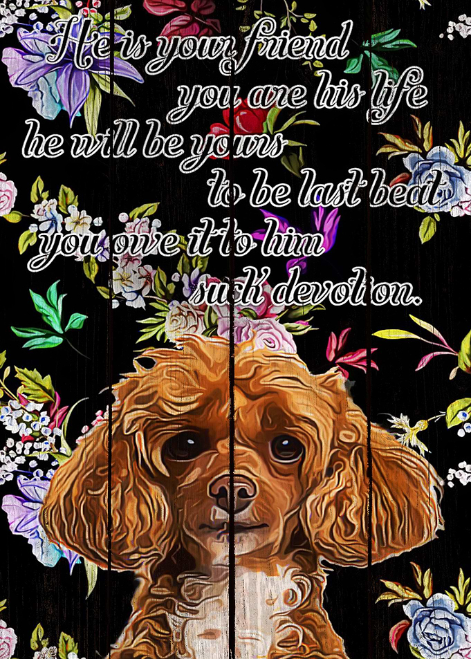 Poodle Art
