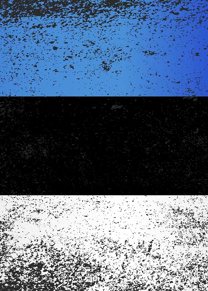 Flag of Estonia Grunge