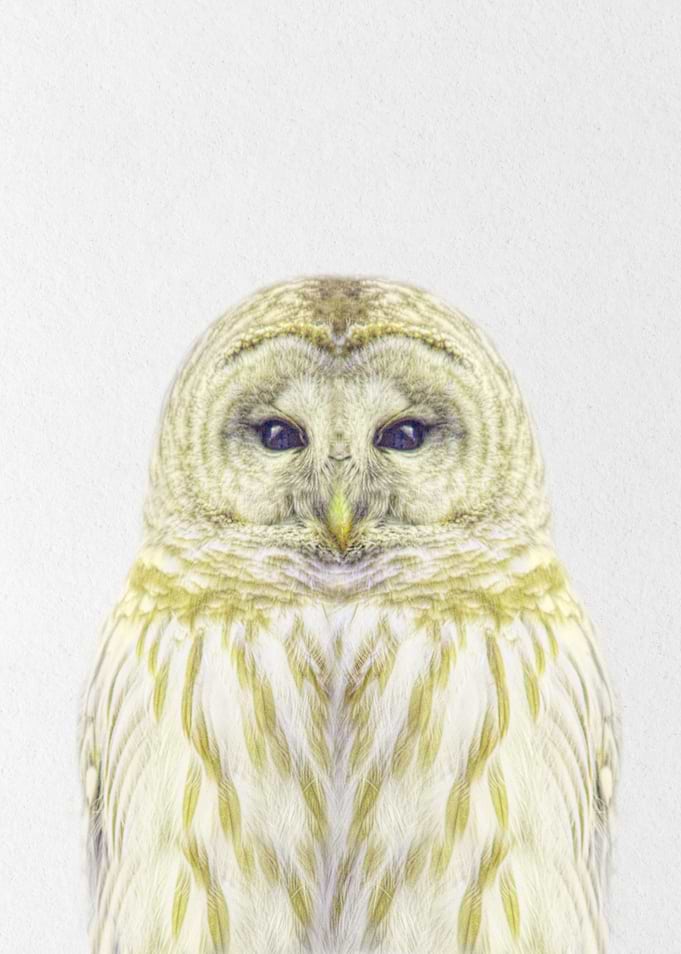 golden owl