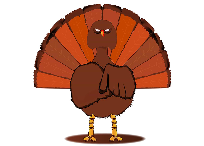 Stern Christmas Turkey