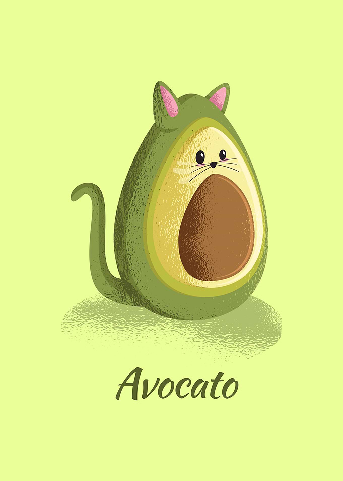 AVOCATO FUNNY POSTER