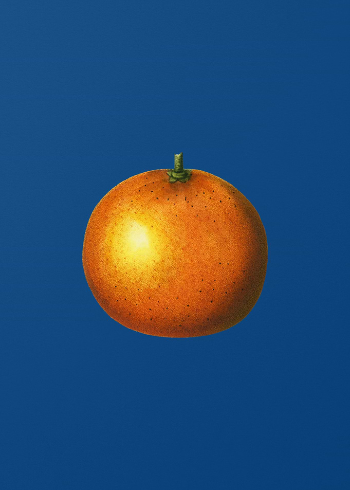 Orange on Classic Blue