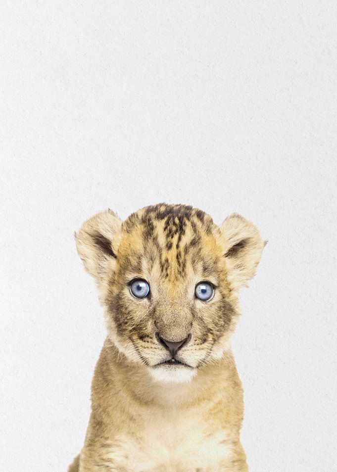 leopard baby