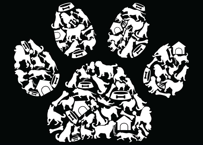 Paw Print