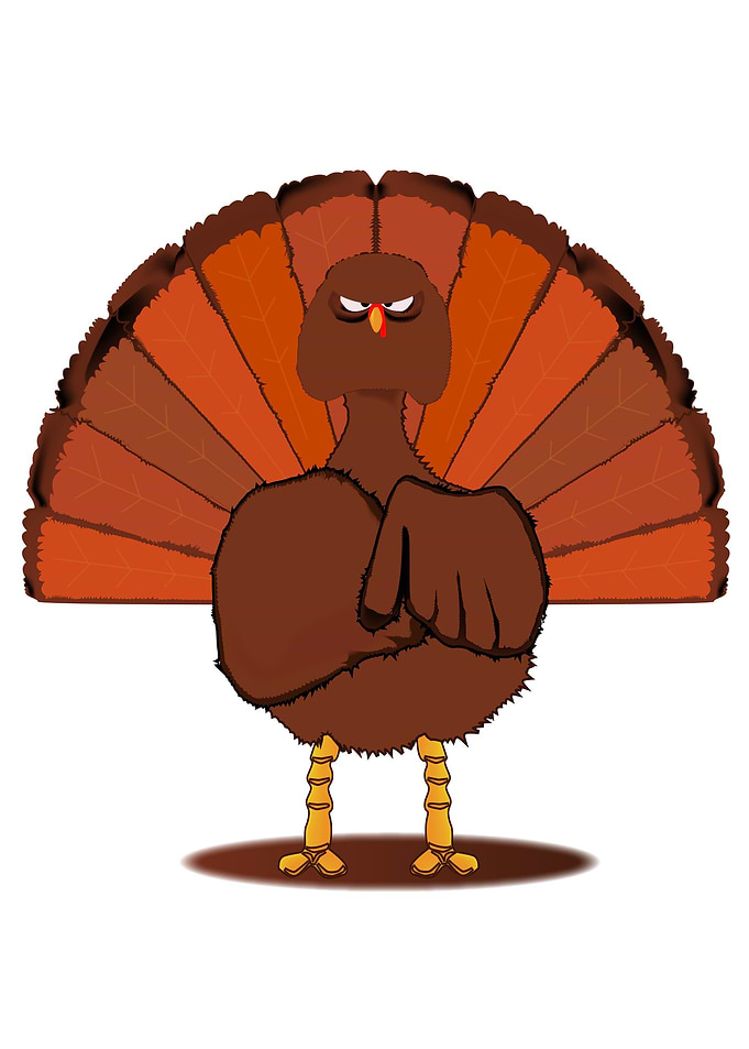 Stern Christmas Turkey