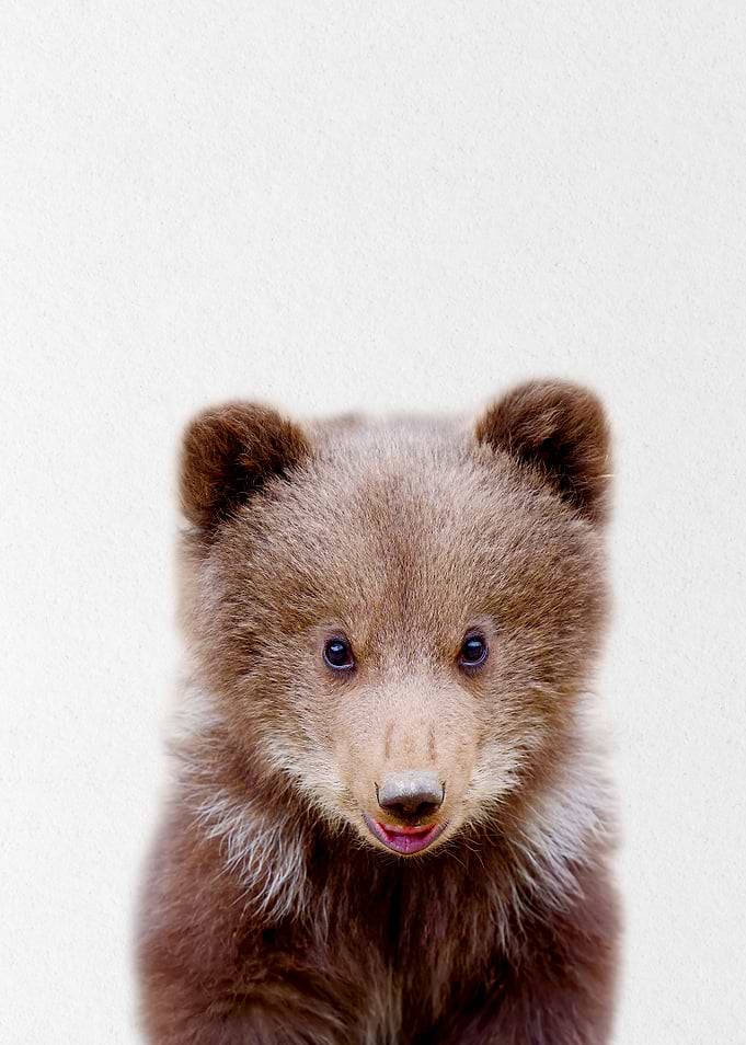 brawn bear baby