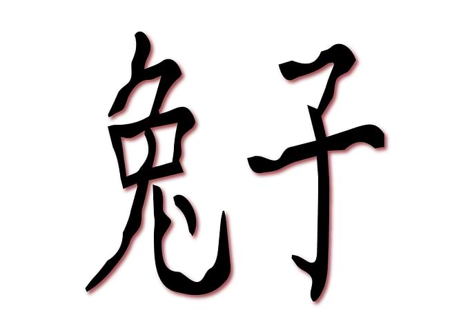 Chinese Characters Rabbit