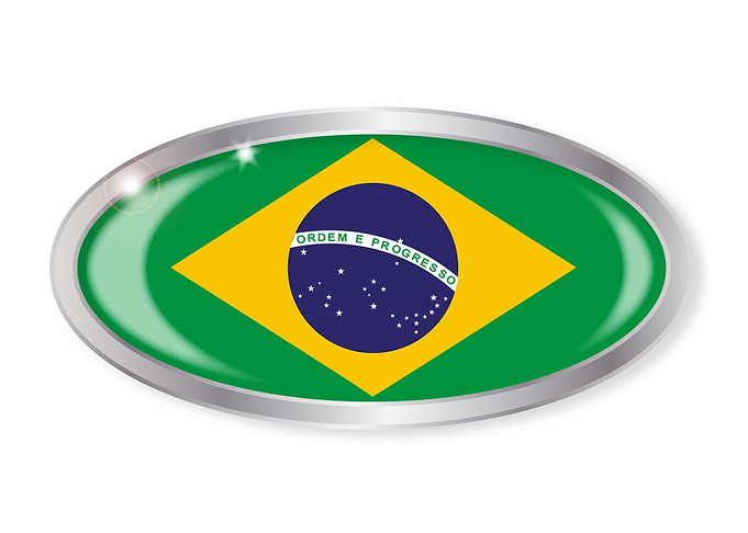 Brazil Flag Oval Button