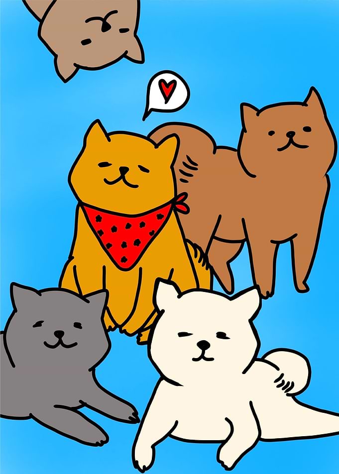 Cats