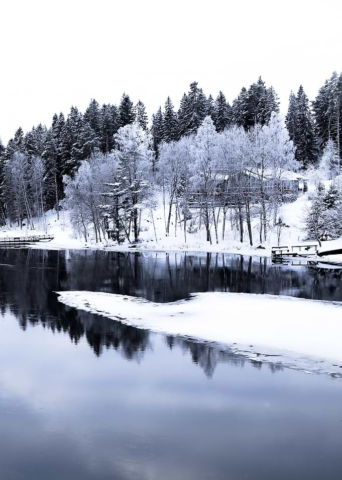 Winter River In The Woods