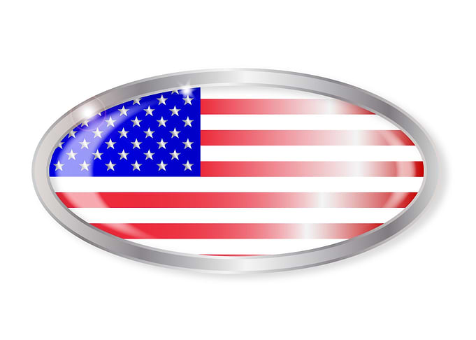 United States Flag Button