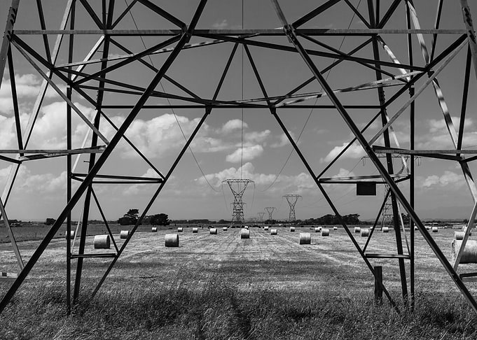 Summer Fields