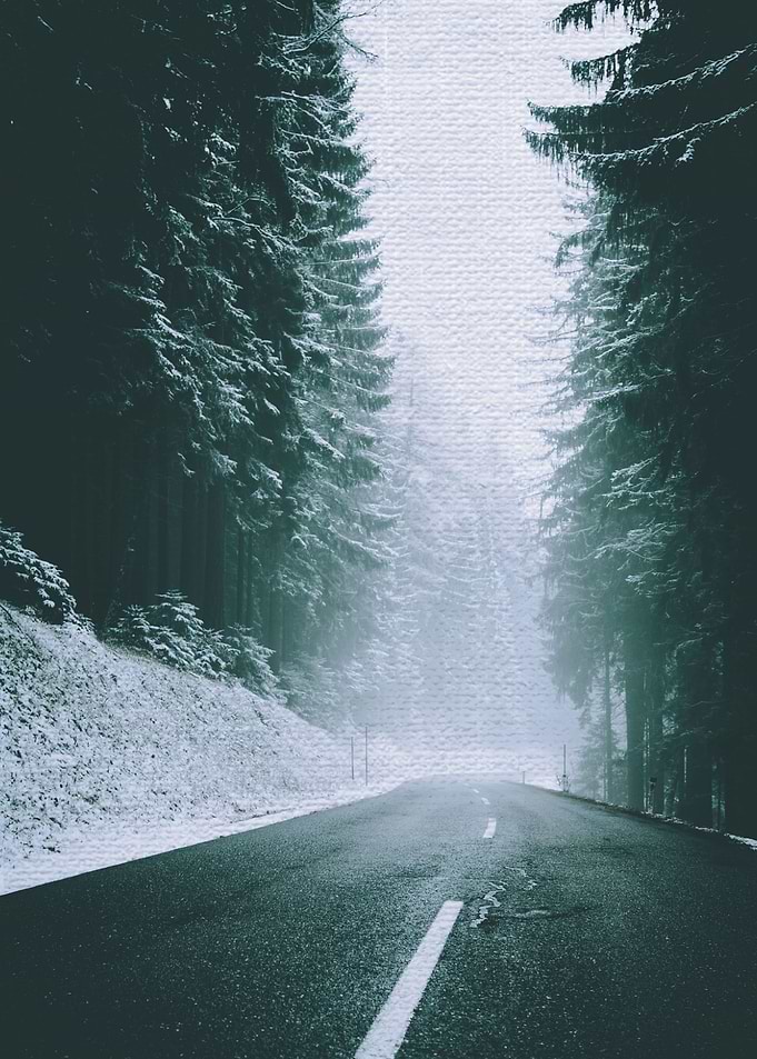 View dream