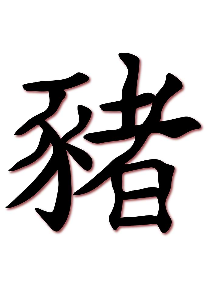 Chinese Text For Pig