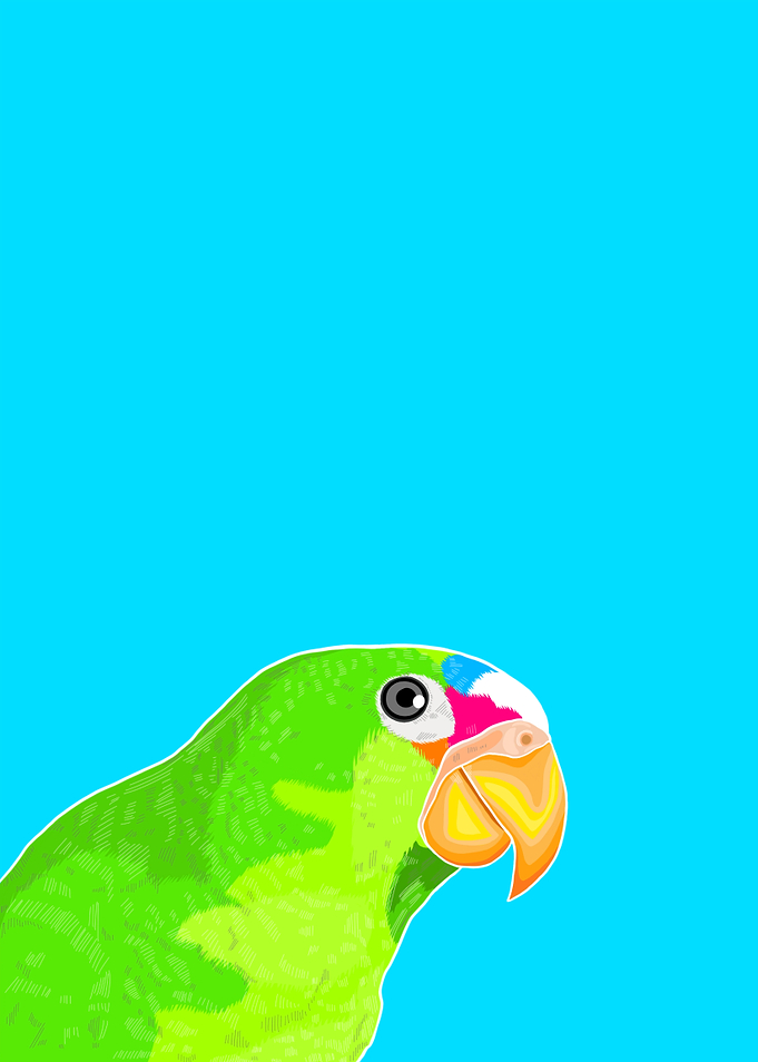 Red Lored Amazon