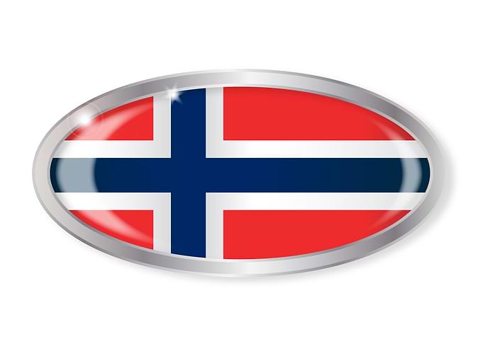Norwegian Flag Oval Button