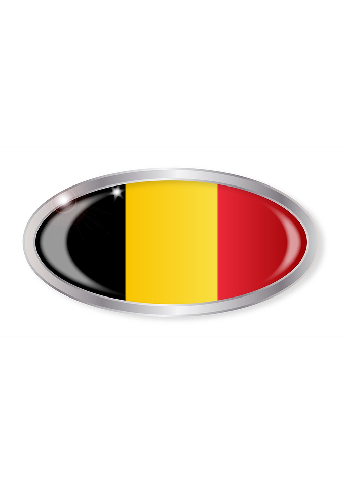Belgian Flag Oval Button