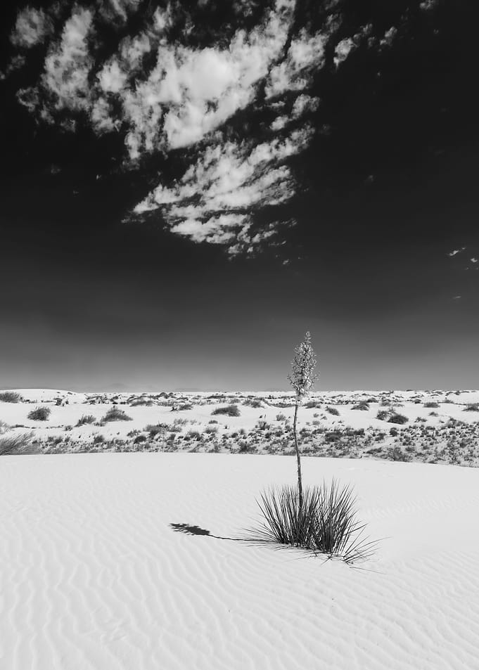 White Sands Impression