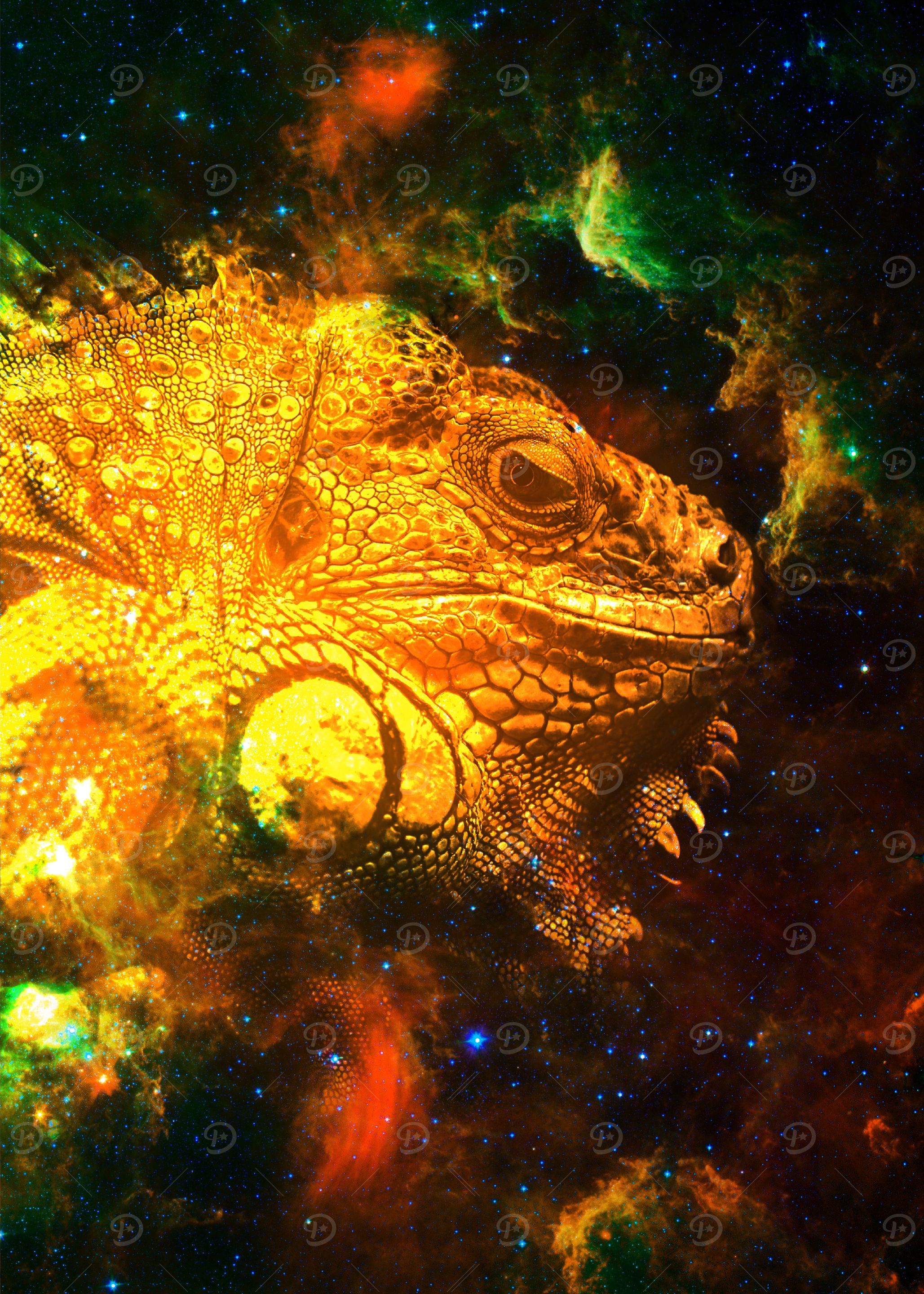 Iguana