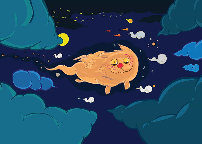A Cat Fly