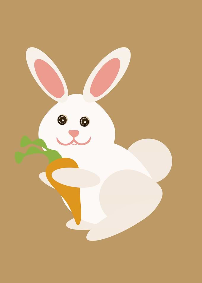 Cute rabbit