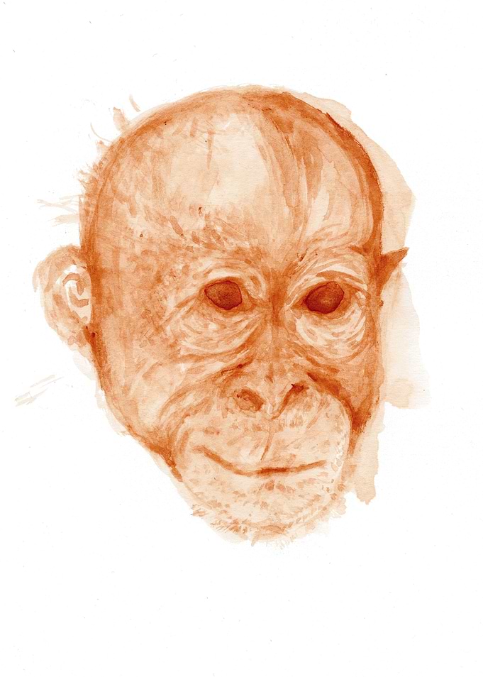 Little Monkey