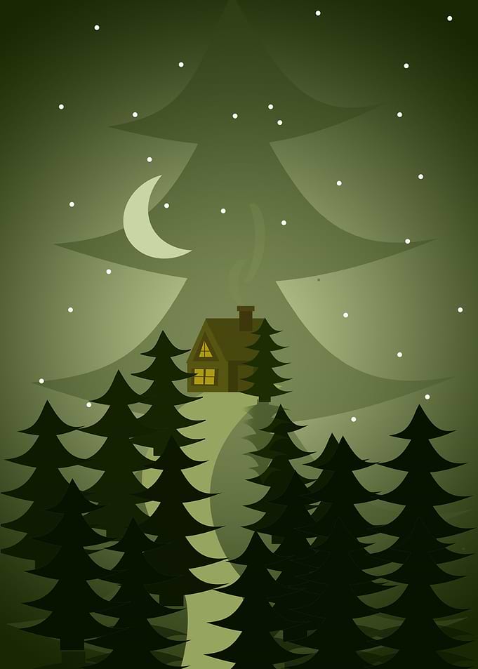 Night in the winter