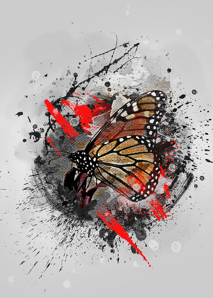 Butterfly