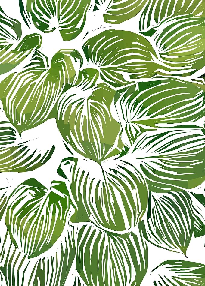 Wild Leaves III
