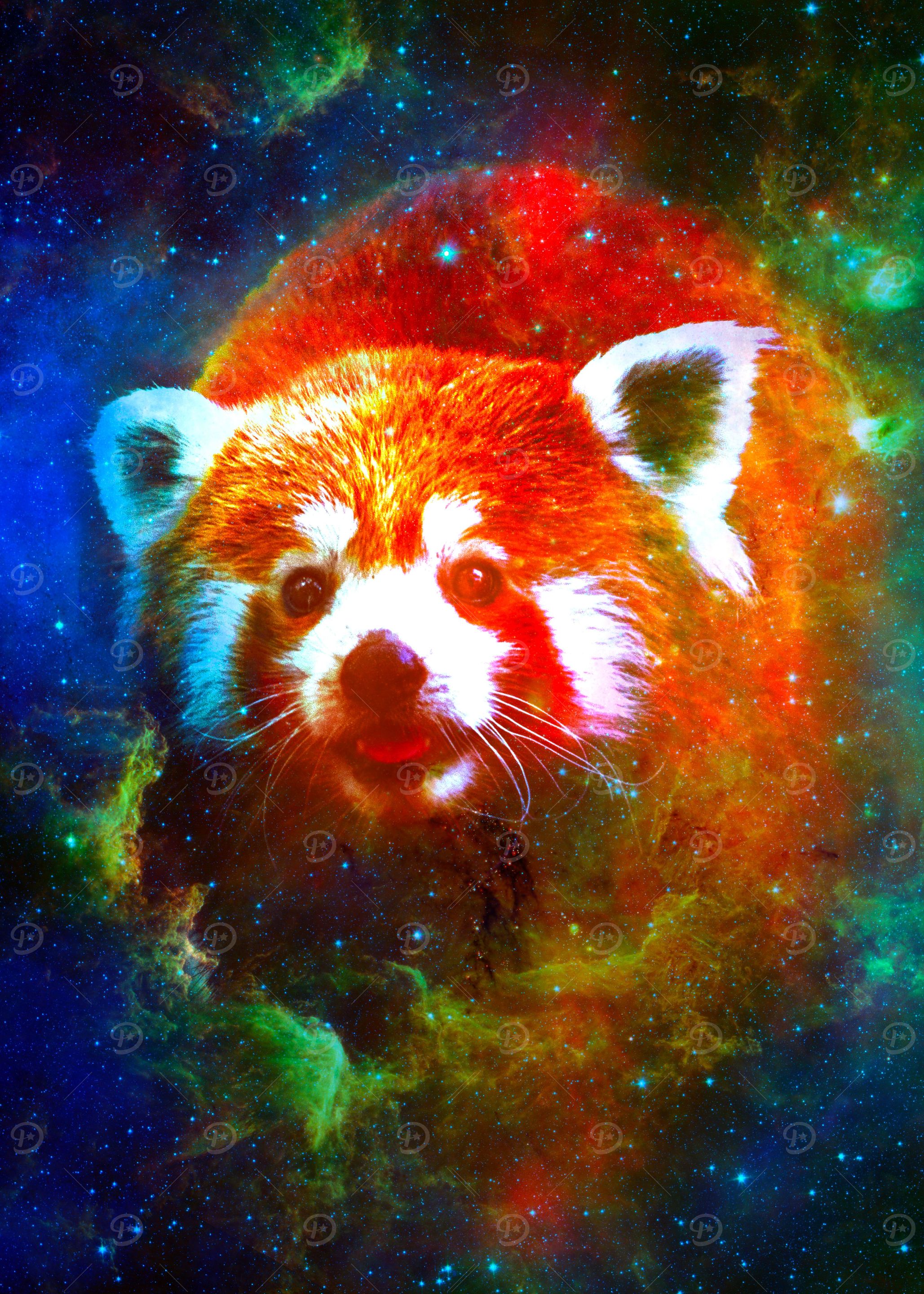 Red Panda