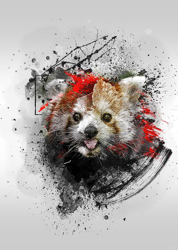 Red Panda