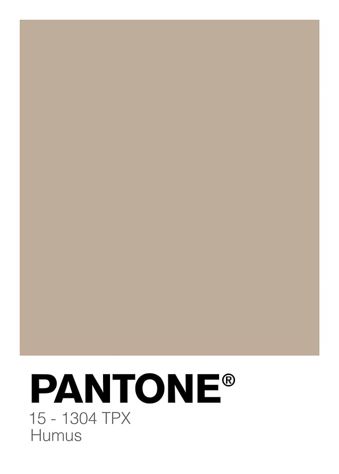 PANTONE Humus