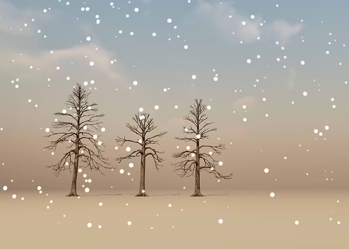 Partly Cloudy And Snow