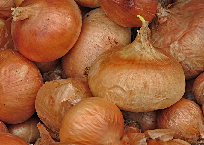 Fresh onions