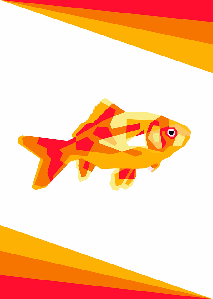 Colorful Fish Design WPAP