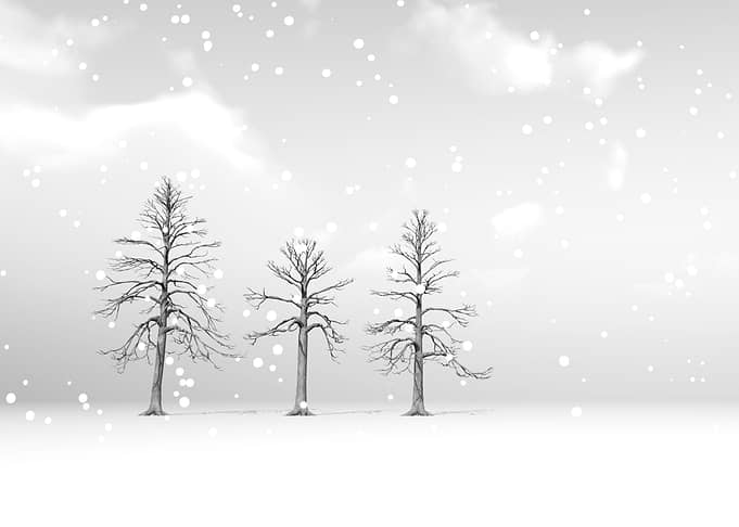 Light Snow Noir