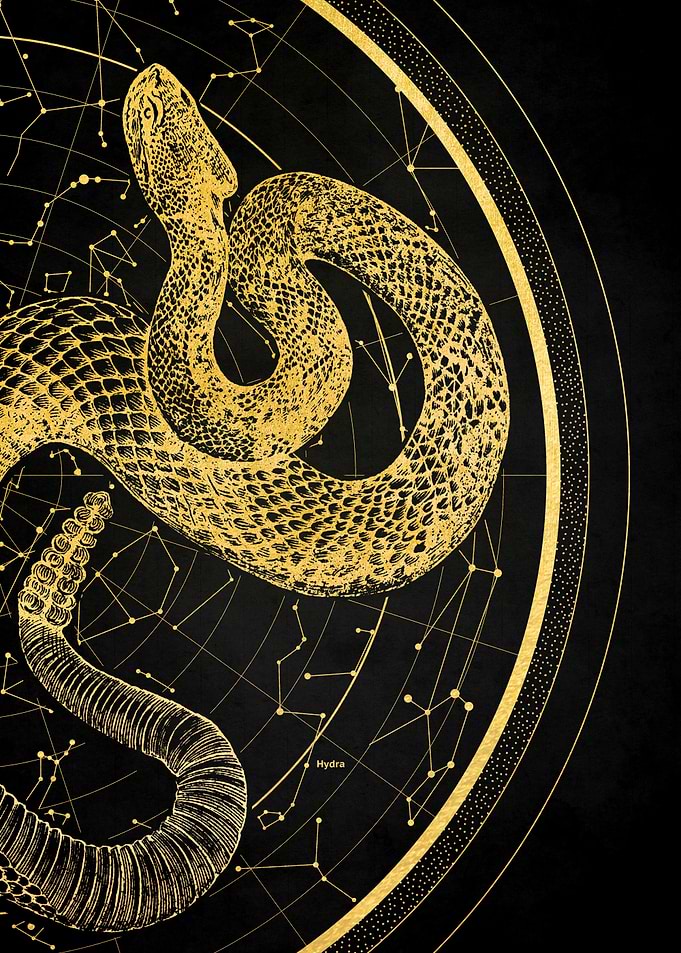 Hydra