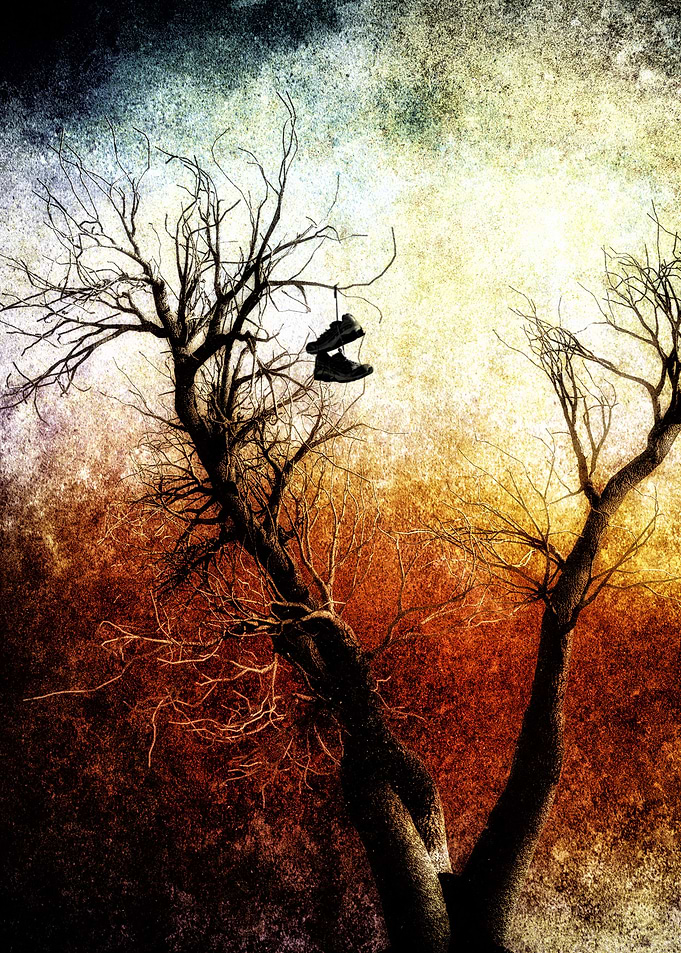 Sneakers In A Tree