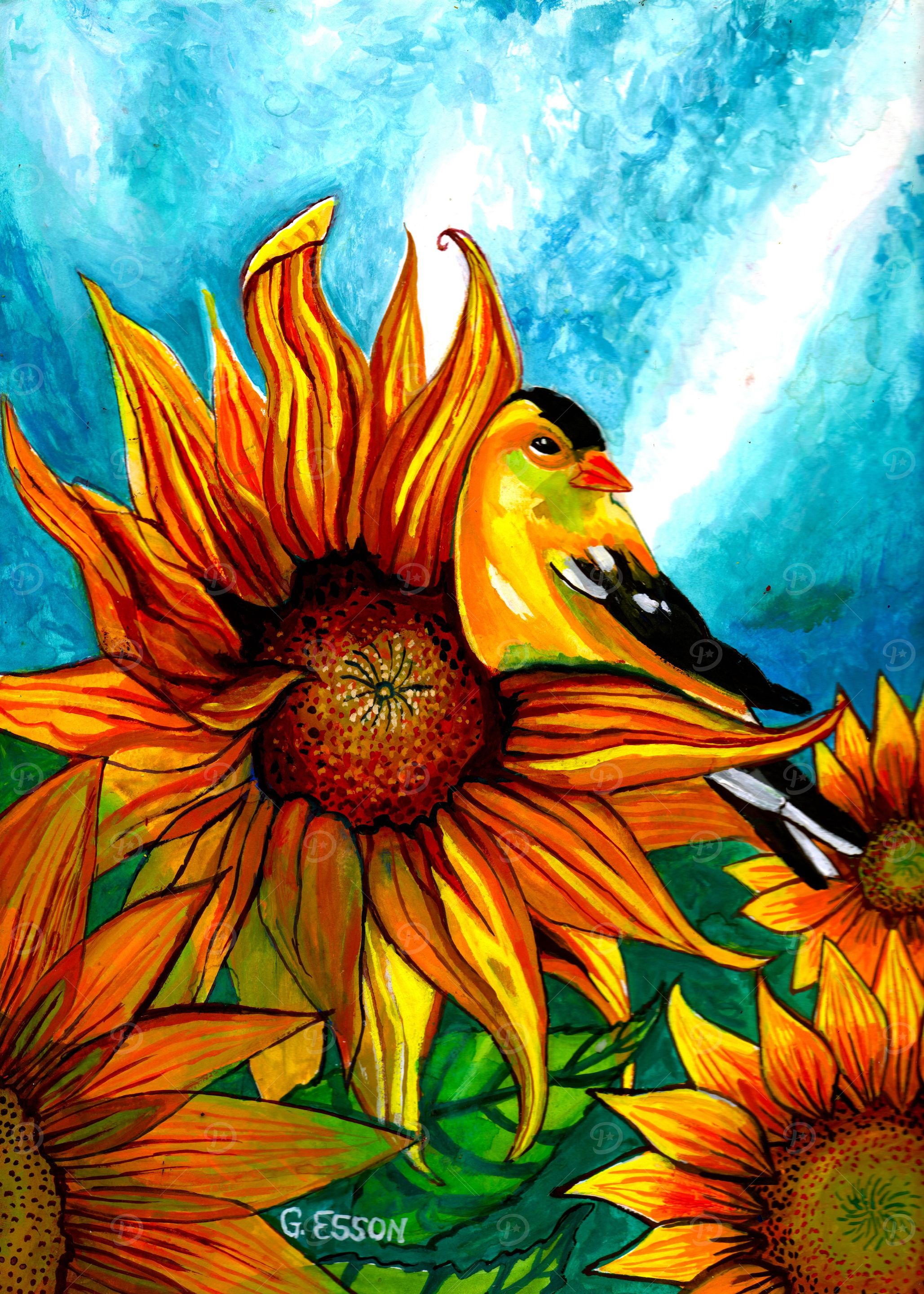 Goldfinch With Sunflowers