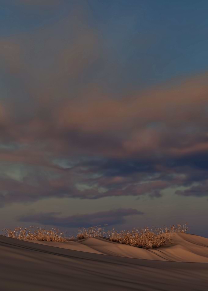 Evening light