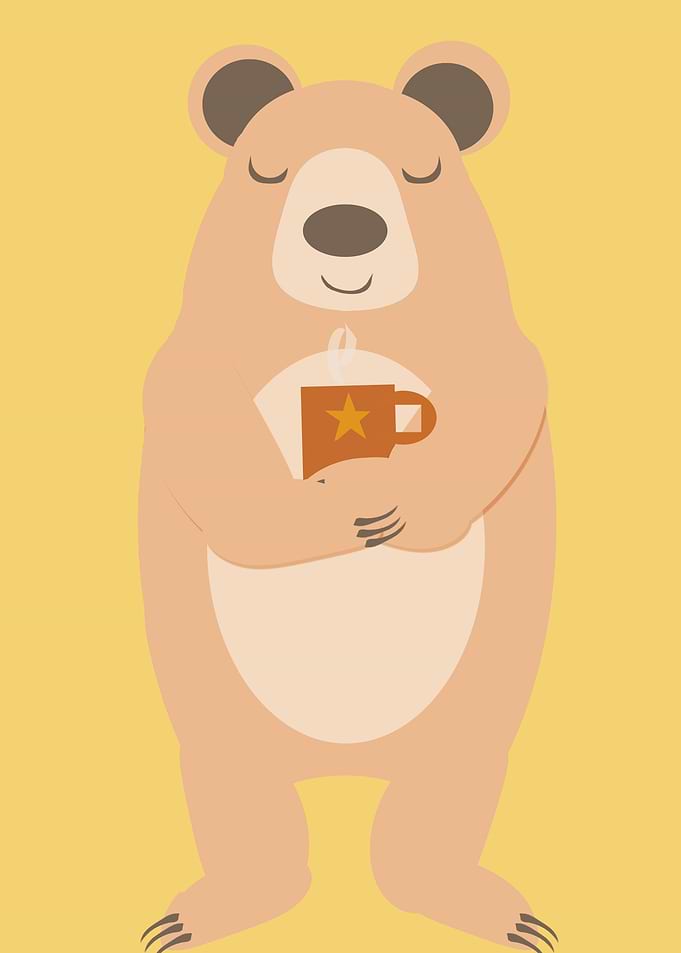 Cute bear