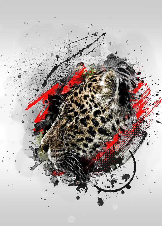 Leopard