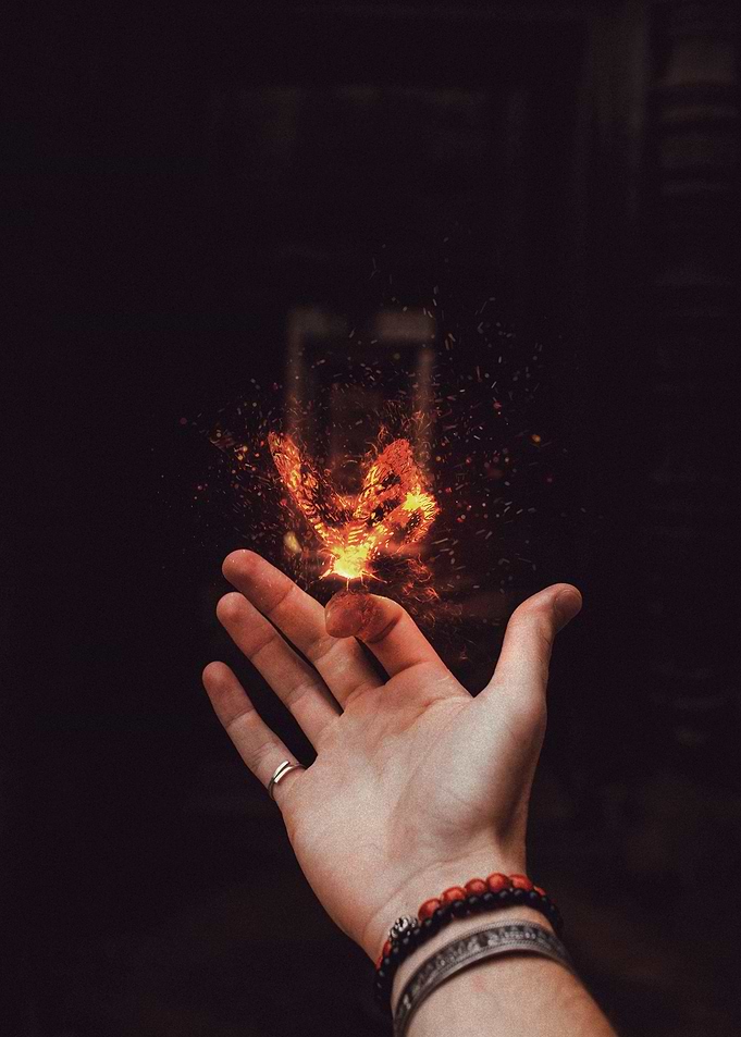 FIRE BUTTERFLY