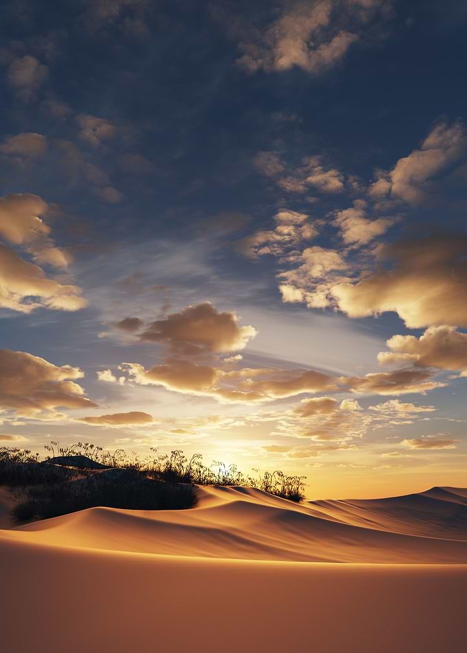 Evening light