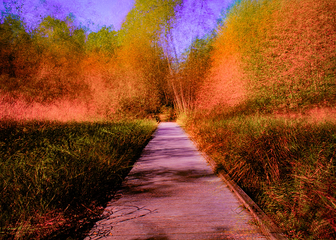 Return II