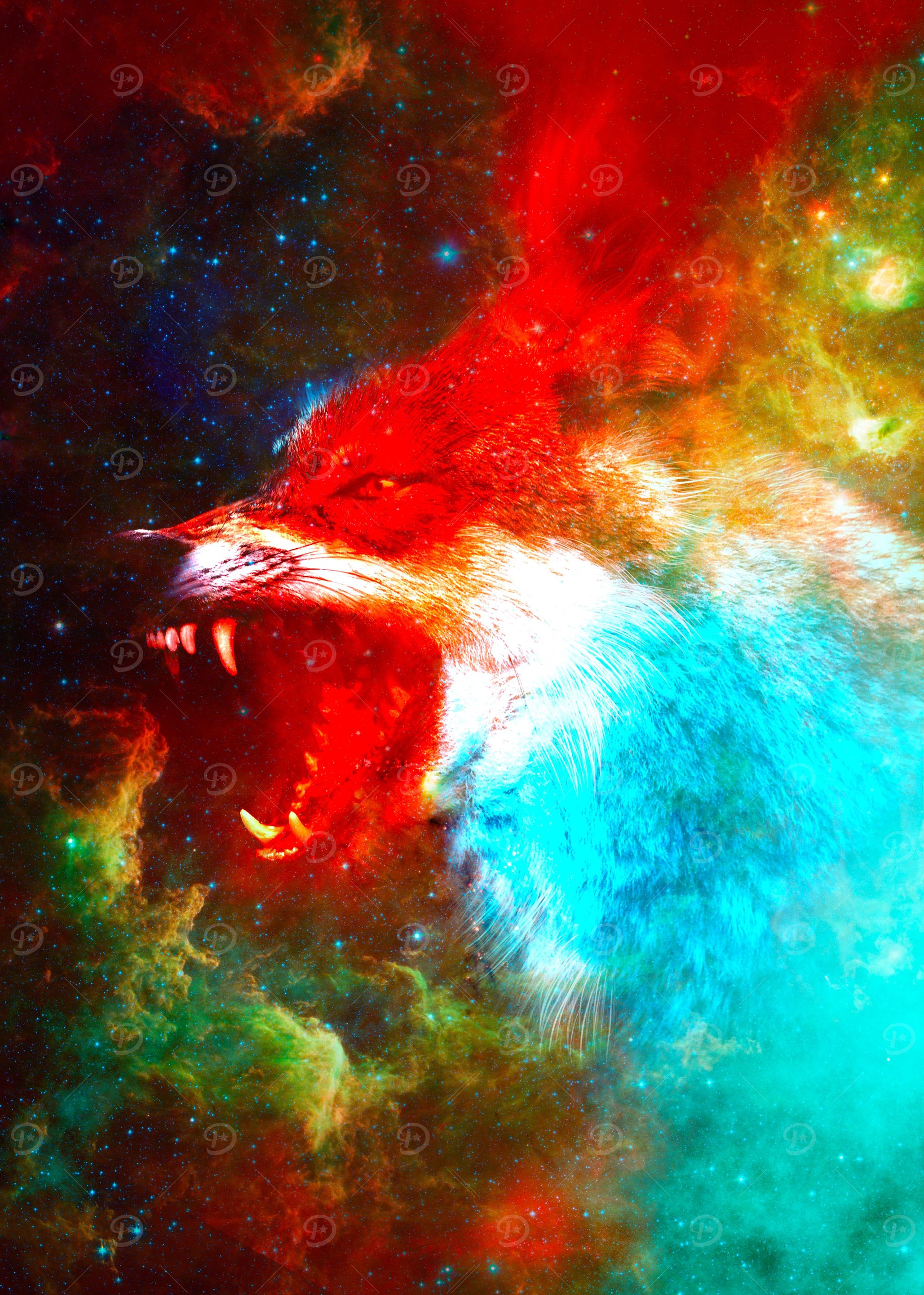 Wolf